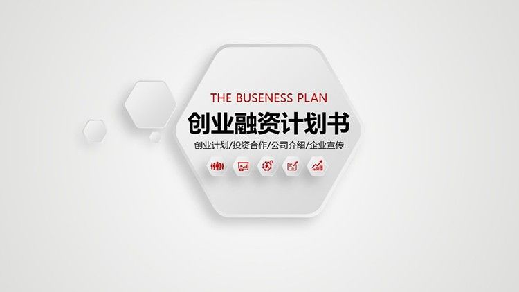 《融资计划书》撰写实例
